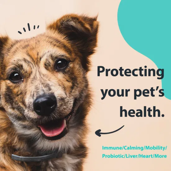 Поддерживает пищеварение, иммунитет и здоровье, предотвращает сезонную аллергию. Мягкие жевательные таблетки с пробиотиками для пищеварительной системы для собак.